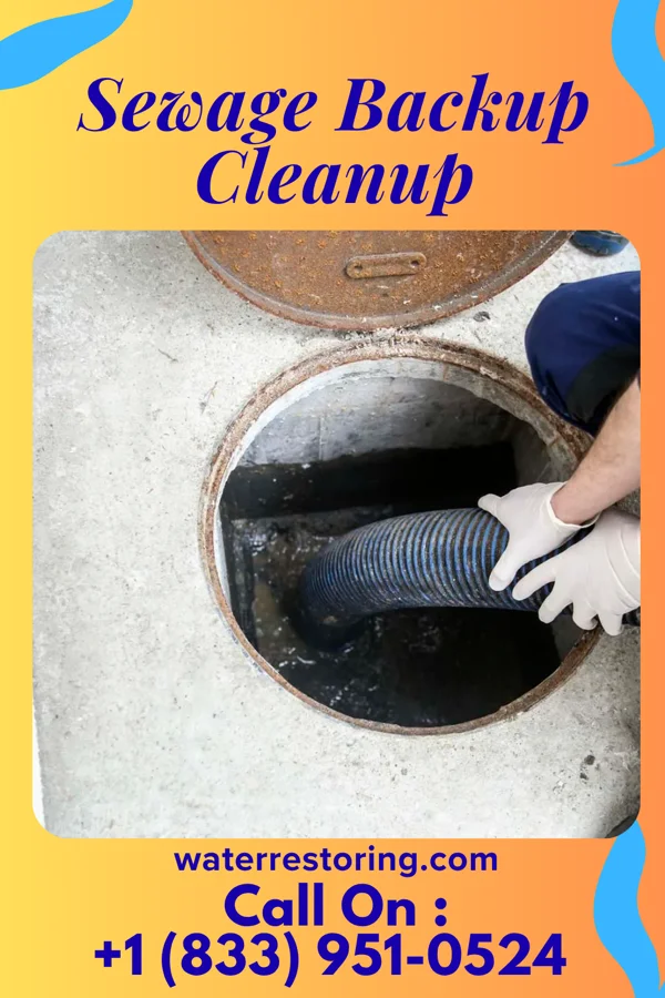 Sewage Backup Cleanup in Taycheedah, WI